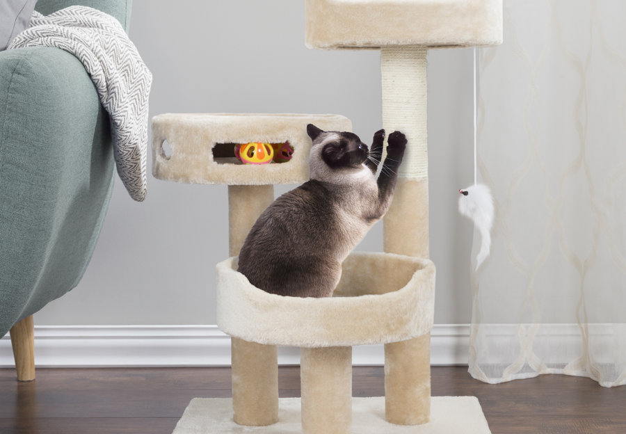 Cat Furniture Wayfair